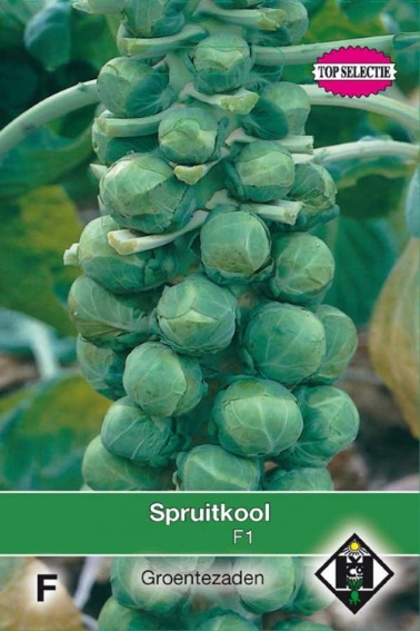 Spruitkool Igor F1 (Brassica oleracea) 50 zaden HE